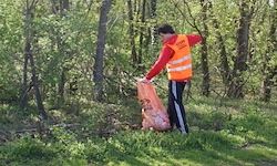 Eine Person in einer Sicherheitsweste sammelt Müll in einem Wald mit dichten Bäumen und grünem Gras.