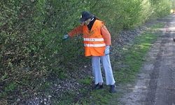 Eine Person in einem orangefarbenen Sicherheitsjacket und Handschuhen steht neben einer Hecke und scheint sie zu inspizieren oder zu beschneiden. Sie befindet sich auf einem Grasweg in der Nähe einer unbefestigten Straße.