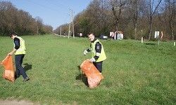 Zwei Personen in gelben Westen sammeln Müll auf einer Wiese mit Bäumen und Strommasten im Hintergrund.