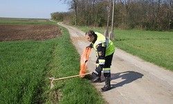 Eine Person in einer reflektierenden Sicherheitsweste pflegt mit einem Rechen den Rasen entlang eines Landweges.