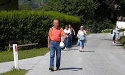 Eine Gruppe von Menschen geht eine Straße mit grünen Hecken entlang. Ein Mann mit einem weißen Hut und einem orangefarbenen Shirt führt die Gruppe an.