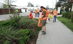 Mehrere Freiwillige in orange Warnwesten und mit Müllsäcken sind dabei, Müll am Straßenrand aufzusammeln. Sie sind von Sträuchern und einem Grasbereich umgeben.