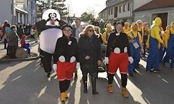 Eine Gruppe von Menschen in Kostümen, darunter Micky Maus und ein Panda, läuft bei einem Umzug die Straße entlang.