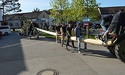 Men in Freizeitkleidung arbeiten an einem großen Baumstamm auf der Straße, möglicherweise zur Vorbereitung auf einen Wettbewerb.