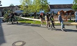 Mehrere Personen tragen einen langen Baumstamm auf der Straße. Im Hintergrund befinden sich einige Gebäude und Bäume. Einige Personen stehen an der Seite.