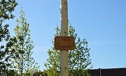 Ein Holzschild mit der Aufschrift 'Grün' ist an einem Pfosten befestigt, umgeben von Bäumen unter einem klaren blauen Himmel.