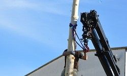 Eine Person klettert mithilfe eines Krans an einem Baum hoch, unterstützt durch Seile und Sicherheitsvorrichtungen, vor dem Hintergrund eines Gebäudes unter blauem Himmel.