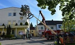 Ein großer Kran steht vor einem Gebäude, umringt von Menschen. Der Kran hebt einen Baum. Das Gebäude hat mehrere Fenster und ein rotes Dach. Es gibt andere Gebäude und Bäume in der Umgebung.