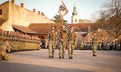 Militärsoldaten in Tarnuniformen marschieren in Formation, halten eine Flagge und stehen vor einem großen Gebäude.