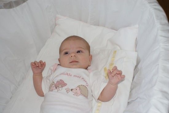 Ein Baby liegt in einem weißen Kinderbett und trägt ein weißes Shirt mit Pilz- und Igel-Design. Das Bett ist mit weißem Stoff bedeckt.