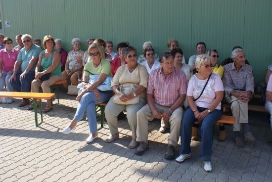 Eine Gruppe älterer Menschen sitzt auf Bänken vor einer grünen Wand, einige mit Sonnenbrillen und Handtaschen.