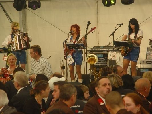 Eine Band spielt auf der Bühne mit Musikinstrumenten, darunter Akkordeon, Gitarre und Trompete, vor einem Publikum.