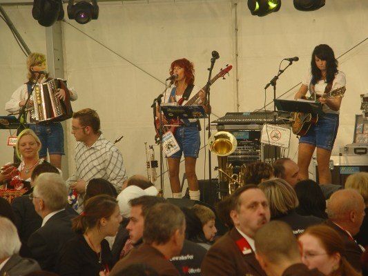 Eine Band spielt auf der Bühne mit verschiedenen Instrumenten, darunter Akkordeon, Gitarre und Trompete, vor einem Publikum.
