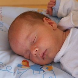 Ein Baby schläft friedlich auf einem Bett mit einer blau-weißen Decke mit den Worten 'Piti Lapins' und 'Ree' darauf.