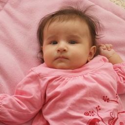 Ein Babymädchen mit kurzen Haaren liegt auf einer rosa Decke und trägt ein rosa Langarmshirt mit Blumenmuster. Sie schaut nach links.