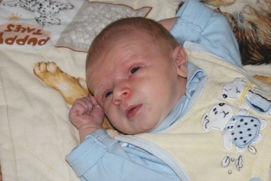 Ein Baby liegt auf einer Decke mit Tierdruck, trägt ein blaues Outfit und eine gelbe Schürze mit Cartoon-Charakteren.