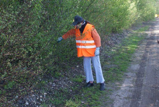 Eine Person in einer orangefarbenen Warnweste und Handschuhen schneidet einen Strauch am Straßenrand einer unbefestigten Straße.