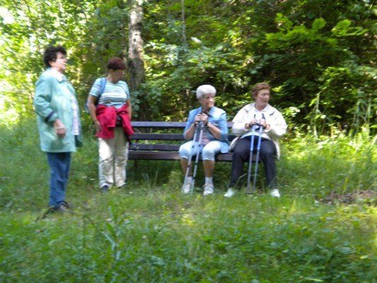 Vier Frauen, zwei auf einer Bank sitzend und zwei stehend, befinden sich in einem Grasbereich mit Bäumen im Hintergrund. Sie halten alle Wanderstöcke.
