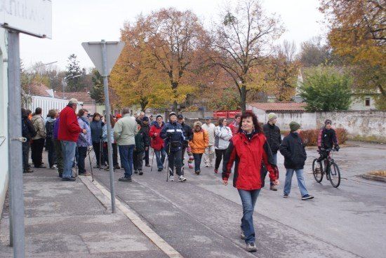 Eine Gruppe von Menschen, einige mit Rucksäcken und Trekkingstöcken, geht auf einer Straße entlang, gesäumt von Bäumen im Herbst. Eine Frau in einer roten Jacke führt die Gruppe.