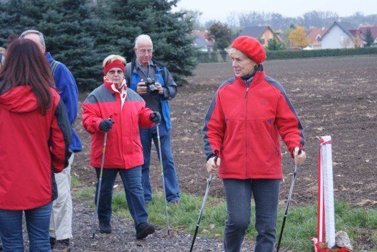 Eine Gruppe von Menschen in roten Jacken und mit Skistöcken unterwegs auf einem Kiesweg in einem Feld mit einem großen immergrünen Baum im Hintergrund.
