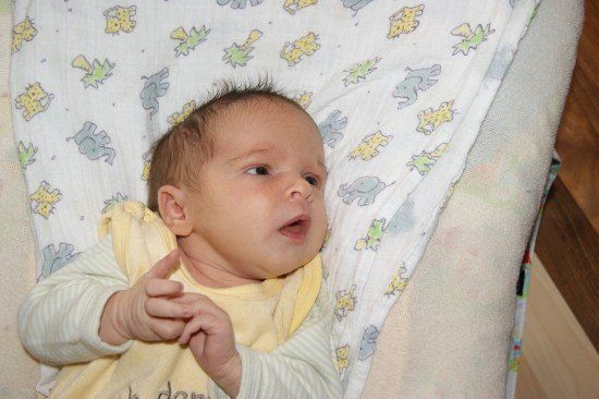 Ein Baby liegt auf einem Bett mit einer Tierdruck-Decke und schaut mit überraschtem Gesichtsausdruck nach oben.