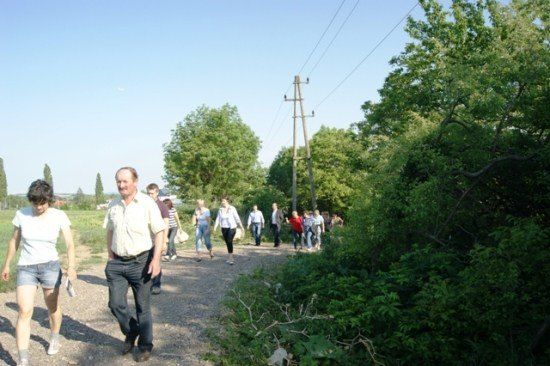 Eine Gruppe von Menschen geht auf einem Kiesweg, umgeben von Bäumen und Grün. Der Himmel ist klar und blau.