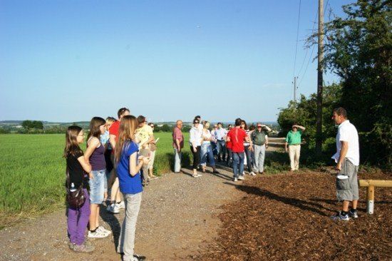 Eine Gruppe von Menschen steht auf einem Kiesweg, einige schauen nach oben, während andere nach unten schauen. Sie tragen Freizeitkleidung. Der Weg ist von einem Feld mit grünem Gras und Bäumen umgeben. In der Ferne befindet sich ein Pfosten mit Drähten.