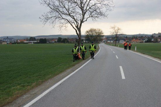Vier Personen in reflektierenden Westen gehen am Straßenrand, mit einem Baum und einem Grasfeld auf einer Seite und Häusern in der Ferne.