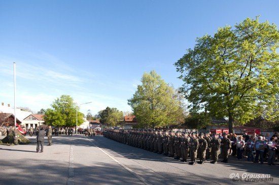 Ein Militäraufmarsch mit Soldaten in Uniform, die in Reihen auf einer Straße stehen, mit Bäumen und Gebäuden im Hintergrund.