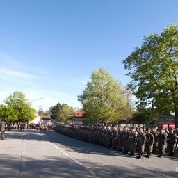 Ein Militäraufmarsch mit Soldaten in Uniform, die in Reihen auf einer Straße stehen, mit Bäumen und Gebäuden im Hintergrund.