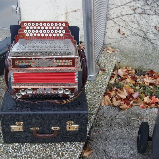 Ein Akkordeon mit roter und brauner Außenseite liegt auf einem schwarzen Lederkoffer mit goldenen Akzenten. Das Akkordeon hat eine silberne Tastatur und ein dekoratives Emblem auf der Vorderseite.