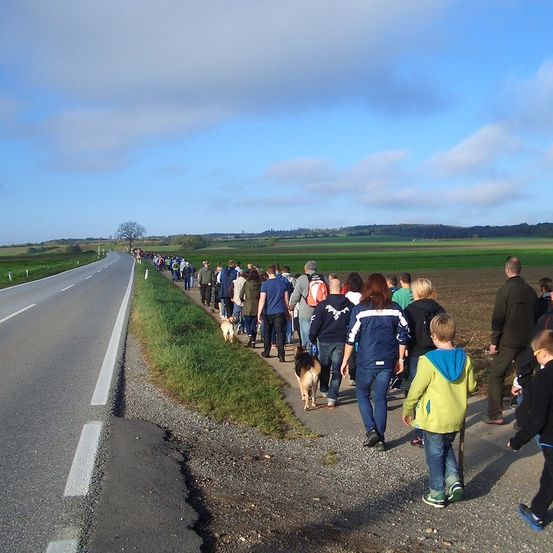 Eine große Gruppe von Menschen mit Hunden, die bei blauem Himmel mit Wolken am Straßenrand entlanggeht.