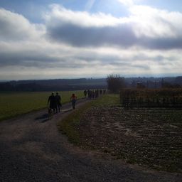 Eine Gruppe von Menschen und Hunden geht auf einem Schotterweg durch ein grasiges Feld unter einem bewölkten Himmel.