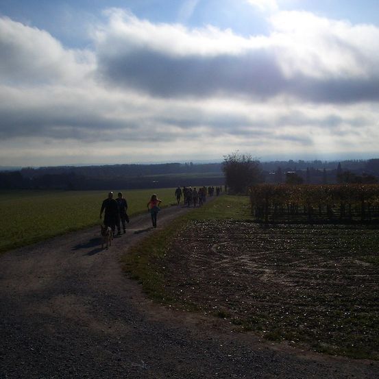 Eine Gruppe von Menschen und Hunden geht auf einem Schotterweg durch ein grasiges Feld unter einem bewölkten Himmel.