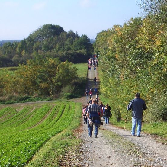 Eine Gruppe von Menschen geht auf einem Kiesweg durch ein Feld, umgeben von Bäumen und Grün. Einige tragen Rucksäcke und benutzen Wanderstöcke.