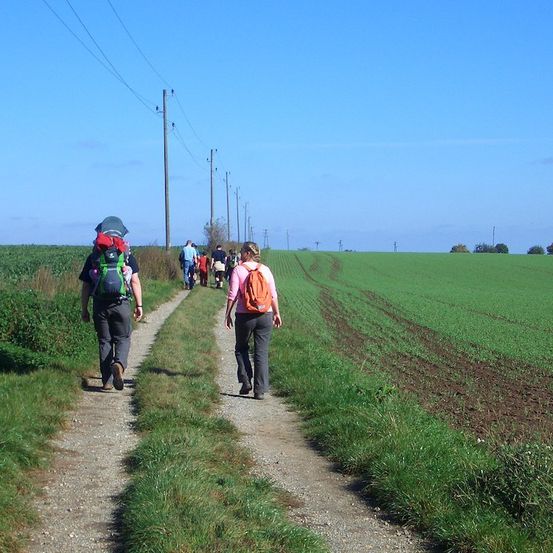 Eine Gruppe von Wanderern geht auf einem Kiesweg durch ein grasiges Feld, mit grünen Feldern und Stromleitungen im Hintergrund.