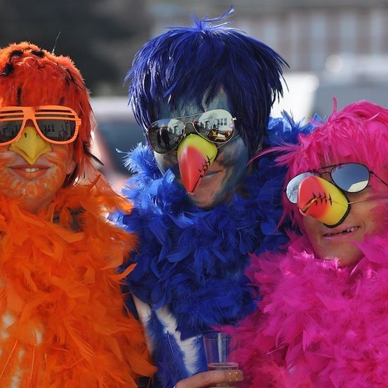 Drei Personen in farbenfrohen Vogelkostümen, eine in Orange, eine in Blau und eine in Pink, stehen eng beieinander, lächeln und posieren für ein Foto.