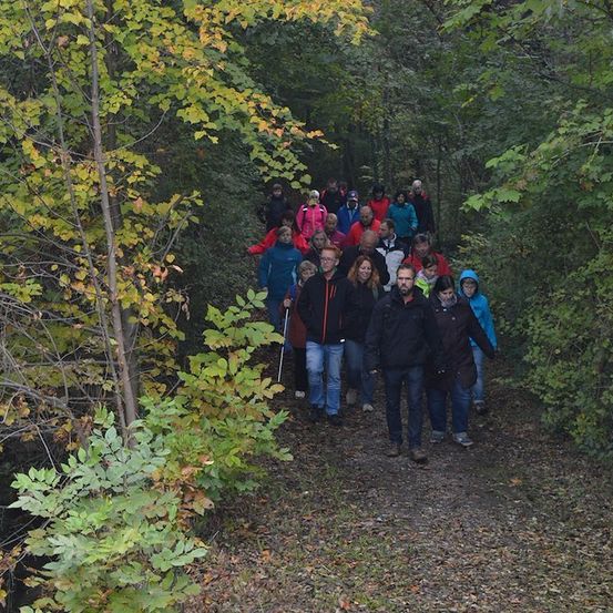 Eine Gruppe von Menschen geht durch einen bewaldeten Bereich, einige tragen Jacken und andere haben Stöcke. Der Weg ist schmal und von Bäumen mit gelben und grünen Blättern umgeben.