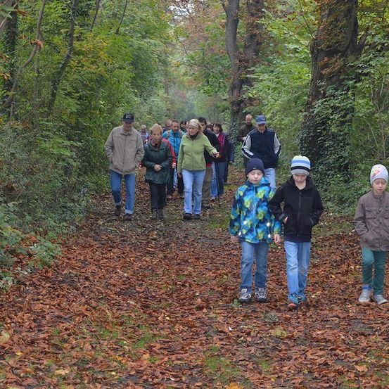 Eine Gruppe von Menschen, einschließlich Kinder, geht auf einem mit gefallenen Blättern bedeckten Waldweg. Sie sind für kühleres Wetter gekleidet.
