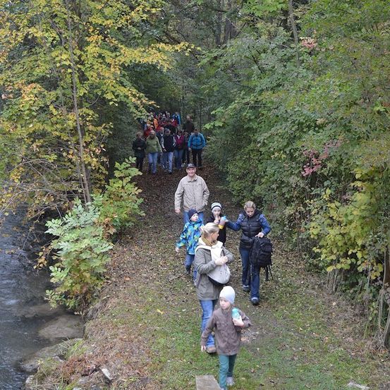 Eine Gruppe von Menschen geht auf einem Pfad im Wald, einige tragen Rucksäcke. Der Pfad ist von Bäumen und Pflanzen umgeben. Ein Fluss verläuft neben dem Pfad.