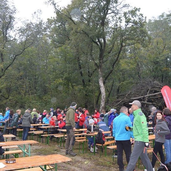 Eine Gruppe von Menschen versammelt sich in einem bewaldeten Gebiet, einige sitzen an Picknicktischen, andere stehen und unterhalten sich. Die Umgebung ist im Freien mit Bäumen im Hintergrund.