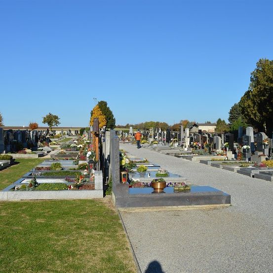 Ein Friedhof mit Reihen von Grabsteinen, einige mit Blumen und Pflanzen geschmückt, unter einem klaren blauen Himmel. Eine Person geht den mittleren Weg entlang.