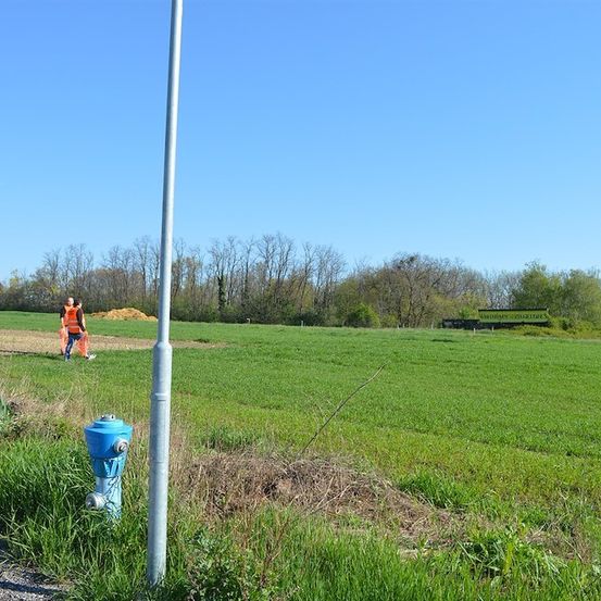 Drei Personen in orange Westen gehen auf einem Rasenfeld, in der Nähe eines blauen Feuerhydranten. Das Feld ist von Bäumen umgeben und der Himmel ist klar und blau.