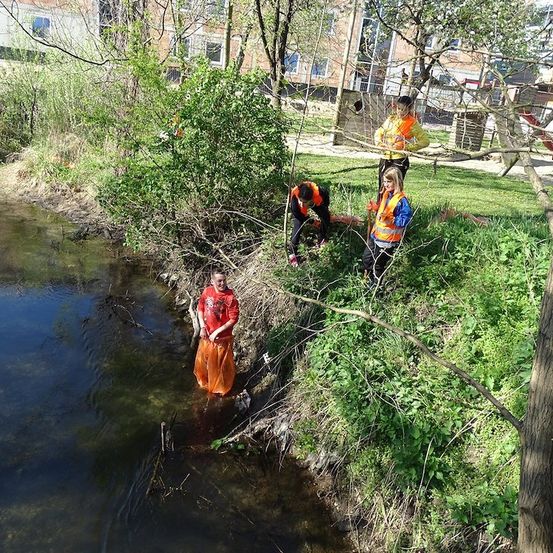 Vier Personen in Sicherheitswesten reinigen ein Bachufer, wobei eine Person im Wasser steht.