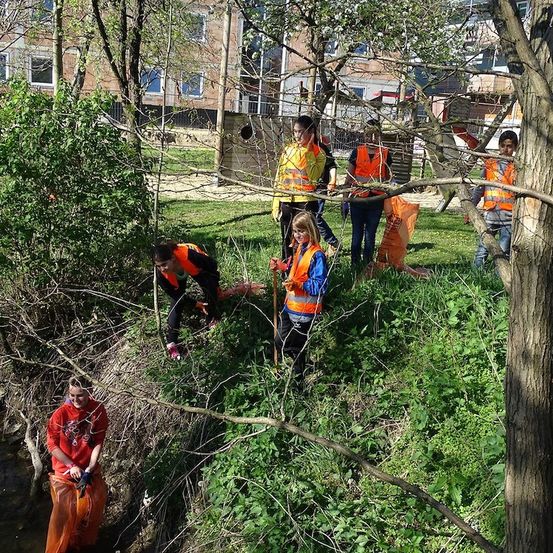 Eine Gruppe von Menschen in orangefarbenen Westen sammelt Müll in einem Park in der Nähe eines Baches.