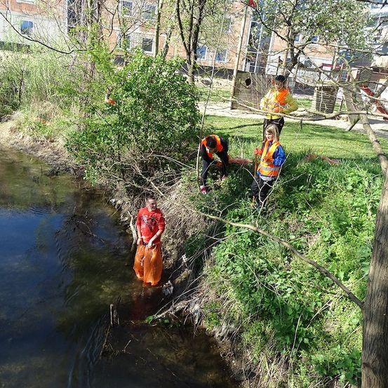 Eine Gruppe von Menschen in Sicherheitswesten reinigt das Ufer eines Flusses, wobei eine Person im Wasser steht und ein Netz hält.
