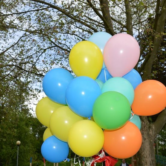 Ein Bündel bunter Luftballons, die miteinander verbunden sind und vor einem Baum im Hintergrund schweben.