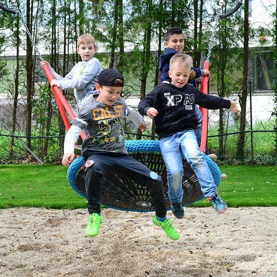 Vier Jungen spielen auf einer Reifenschaukel in einem Park. Drei sitzen, während einer steht und lächelt. Sie sind von Bäumen und Gras umgeben.