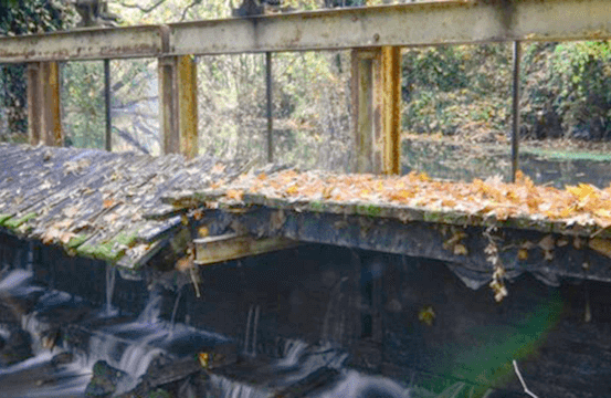Ein Blick auf eine kleine Brücke über einem fließenden Bach, mit verstreuten gefallenen Blättern auf der Brücke und einem Wald im Hintergrund.