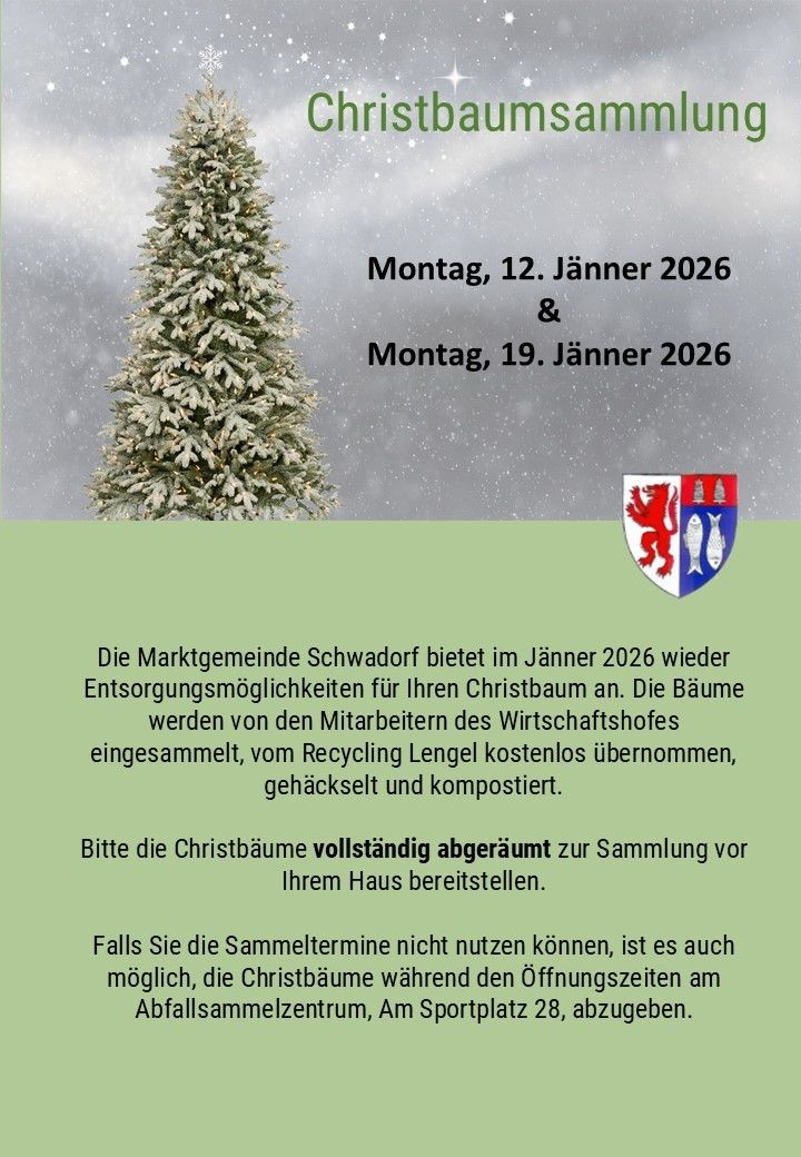 Im Januar 2026 bietet die Marktgemeinde Schwadorf wieder Entsorgungsmöglichkeiten für Ihren Weihnachtsbaum an. Die Bäume werden von den Mitarbeitern des Wirtschaftshofs eingesammelt, vom Recycling Lengel kostenlos übernommen, gehäckselt und kompostiert. Bitte stellen Sie die Weihnachtsbäume vollständig abgeräumt zur Sammlung vor Ihrem Haus bereit. Falls Sie die Sammeltermine nicht nutzen können, ist es auch möglich, die Weihnachtsbäume während der Öffnungszeiten am